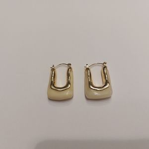 Geometric Design Earrings.